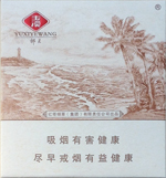玉溪(椰王)