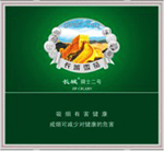 长城(骑士2号)