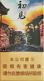 长城(初见青岩)