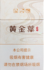 黄金叶(天河)